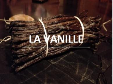 20 Gousses de Vanille Gourmet de Madagascar 17-21 cm Excellence Bourbon